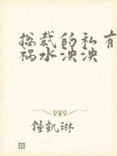 总裁的私有宝贝祸水泱泱