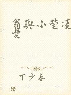 翁与小莹凌晨欢爱