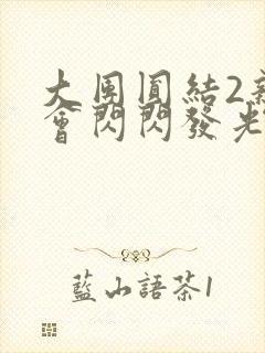 大团圆结2亲情会闪闪发光亲情会2