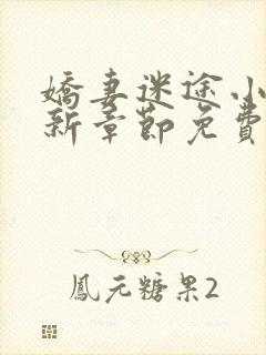 娇妻迷途小说最新章节免费阅读