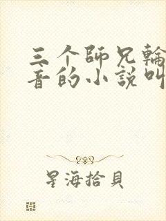 三个师兄轮流上音的小说叫什么