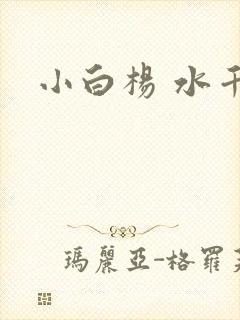 小白杨 水千丞
