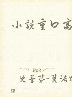 小说重口高h封面