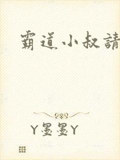 霸道小叔请轻撩封面