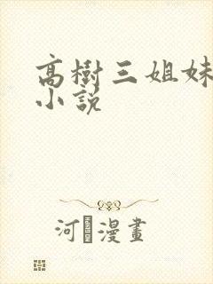 高树三姐妹有声小说封面