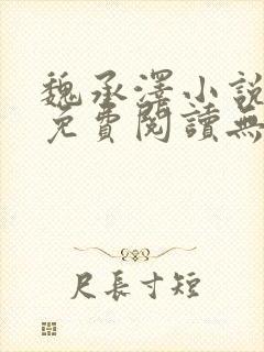 魏承泽小说全文免费阅读无弹窗笔趣