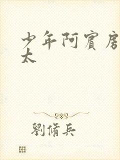 少年阿宾房东太太封面