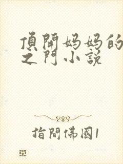 顶开妈妈的生命之门小说