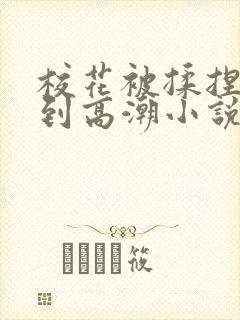 校花被揉捏奶子到高潮小说