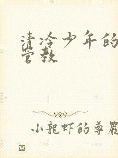 清冷少年的严厉管教