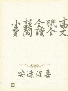 小说全职高手免费阅读全文无窗口