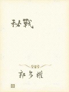 秘战封面