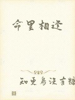 命里相逢