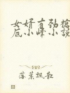 女婿有劲枪枪到底小峰小说