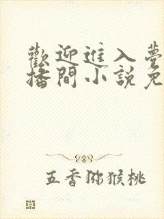 欢迎进入梦魇直播间小说免费阅读