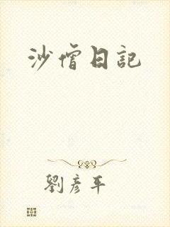沙僧日记封面
