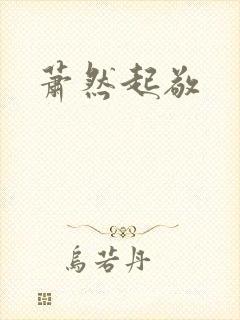 萧然起敬封面