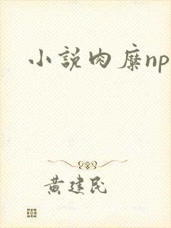 小说肉糜np
