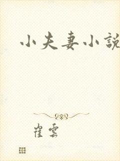 小夫妻小说封面