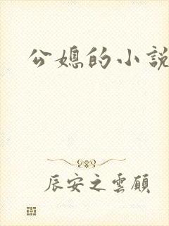 公媳的小说