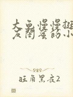 大龟慢慢挺进女友闺蜜的小说封面