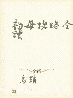 韵母攻略全文阅读