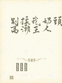 别揉我奶头嗯啊高潮主人封面