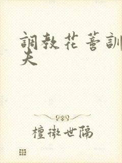 调教花蒂训诫从夫封面