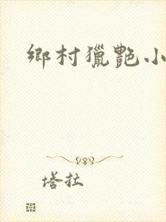 乡村猎艳小说封面