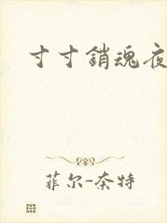 寸寸销魂夜春光