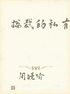 总裁的私有宝贝