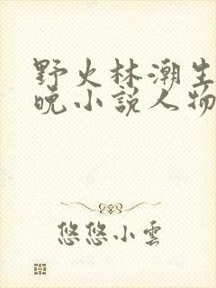 野火林潮生林晚晚小说人物野火