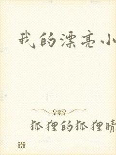 我的漂亮小后妈