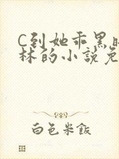 C到她乖黑暗森林的小说免费