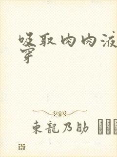 吸取肉肉液液快穿