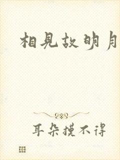 相见故明月封面