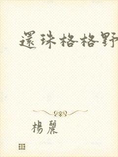 还珠格格野传封面