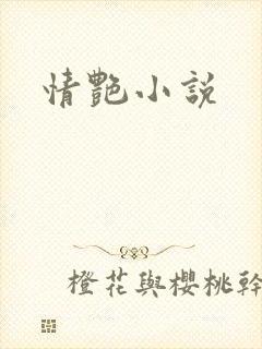 情艳小说封面