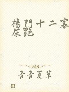 杨门十二寡妇肉床艳