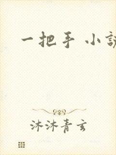 一把手 小说