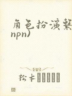 角色扮演系统(npn)封面