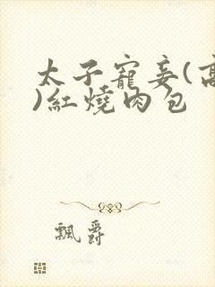 太子宠妾(高肉)红烧肉包