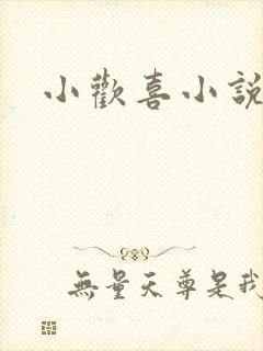 小欢喜小说封面