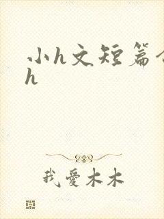 小h文短篇合集h封面