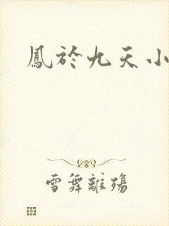 凤于九天小说