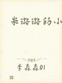 米璐璐的小说