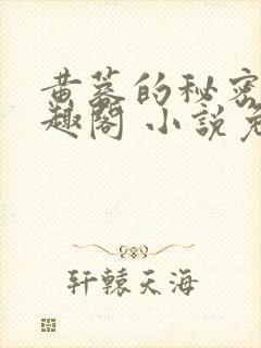 黄蓉的秘密 笔趣阁 小说免费阅读下载封面