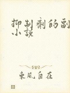 抑制剂的副作用小说封面