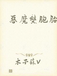 恶魔双胞胎封面