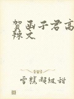 贺函子君高h肉辣文